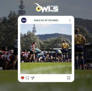 Team of the Round | Round 5